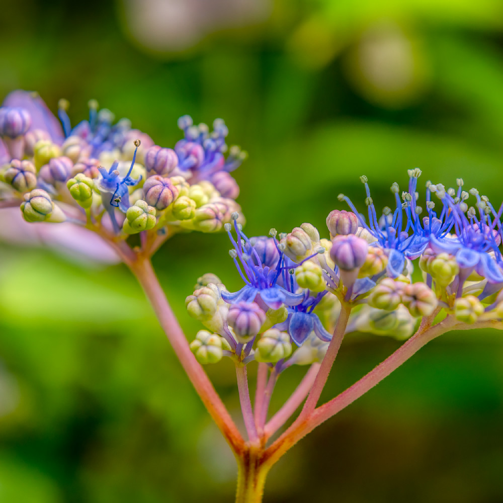 E8 A5810 12x12 Crop 1223 Photography Art | Michael Malandra Fine Art & Photography