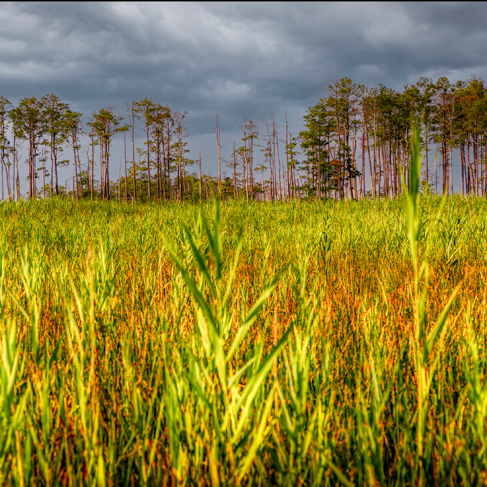 E8 A5925 12x12 Crop 1223 Photography Art | Michael Malandra Fine Art & Photography