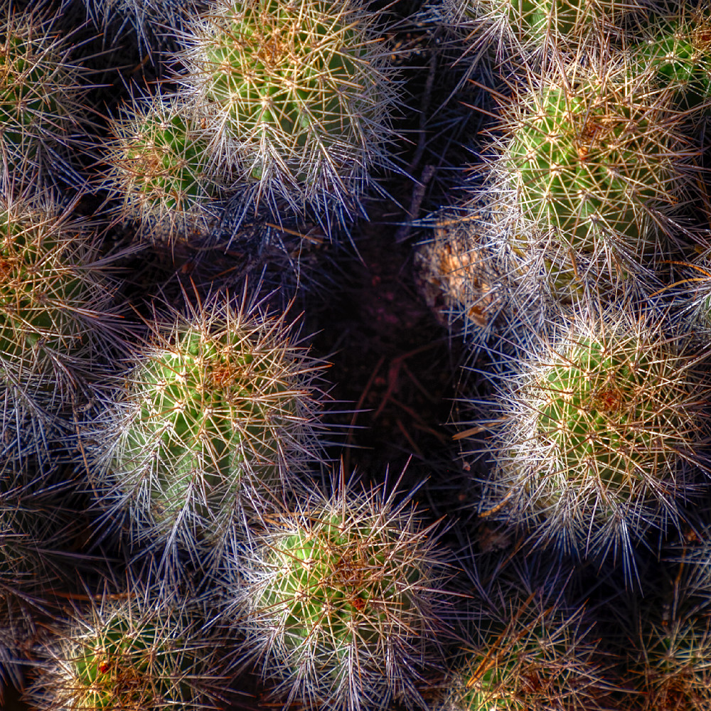 E8 A7574 Edited 1123 12x12 Crop Photography Art | Michael Malandra Fine Art & Photography