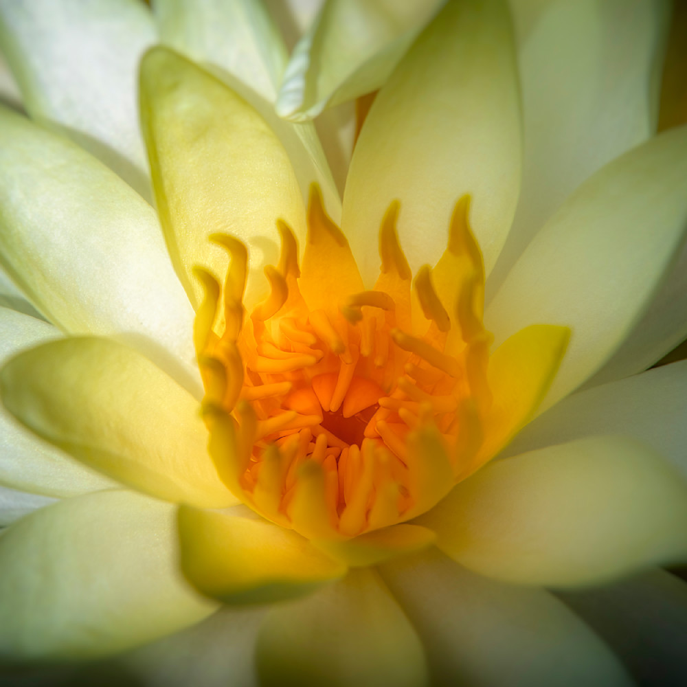 E8 A7631 12x12 Crop 1223 Photography Art | Michael Malandra Fine Art & Photography