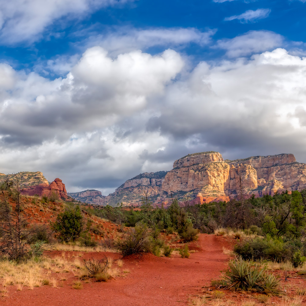 E8 A8429 Edited 1123 12x12 Crop Photography Art | Michael Malandra Fine Art & Photography