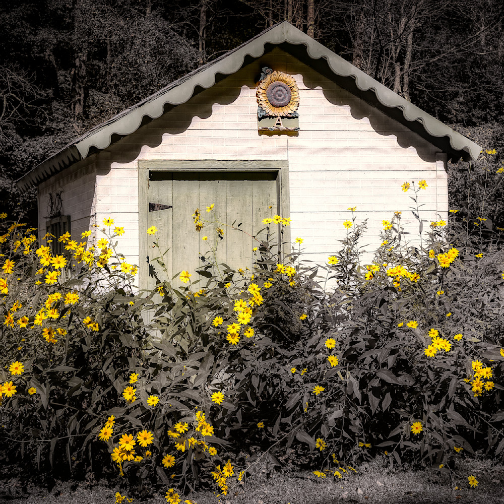 E8 A8521 12x12 Crop 1223 Photography Art | Michael Malandra Fine Art & Photography