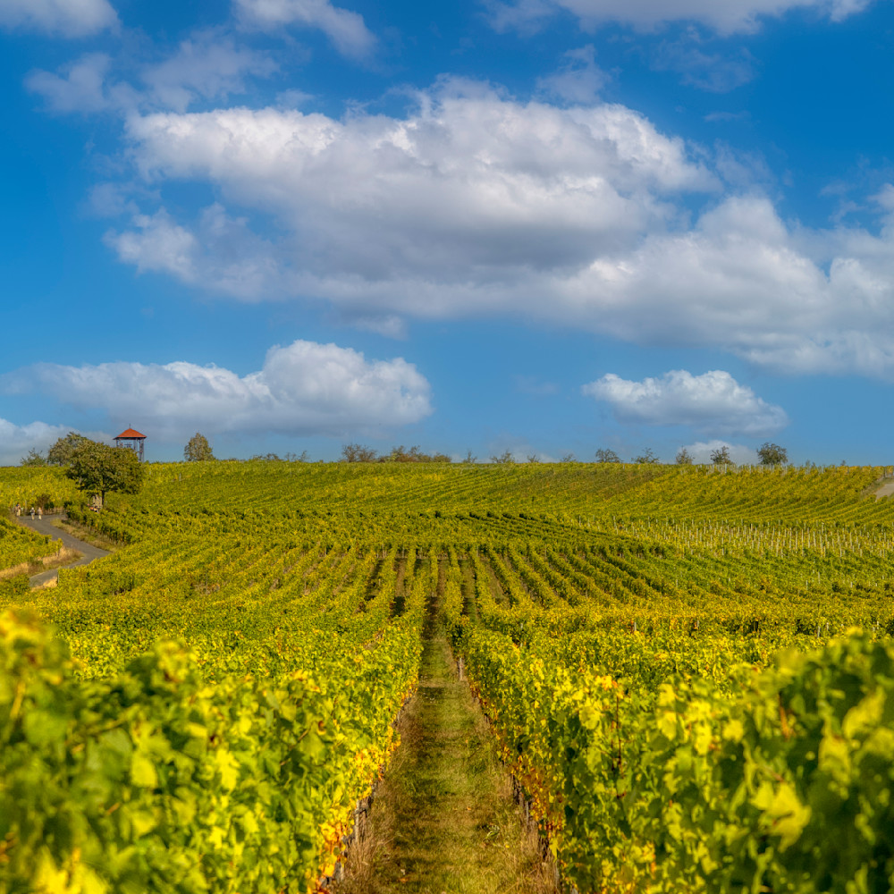 E8 A8611 Edited 12x12 Crop Photography Art | Michael Malandra Fine Art & Photography