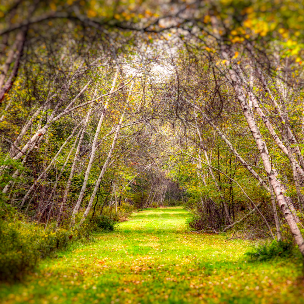 E8 A9213 12x12 Crop 1223 Photography Art | Michael Malandra Fine Art & Photography