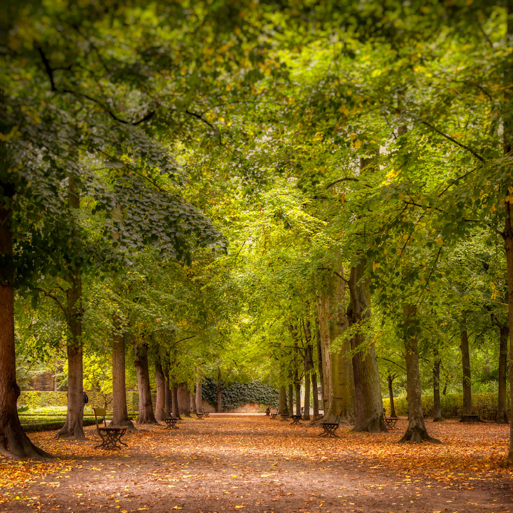 E8 A9307 Edited 12x12 Crop Photography Art | Michael Malandra Fine Art & Photography