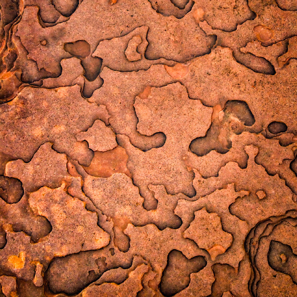 Mg 1021 1123 12x12 Crop Photography Art | Michael Malandra Fine Art & Photography