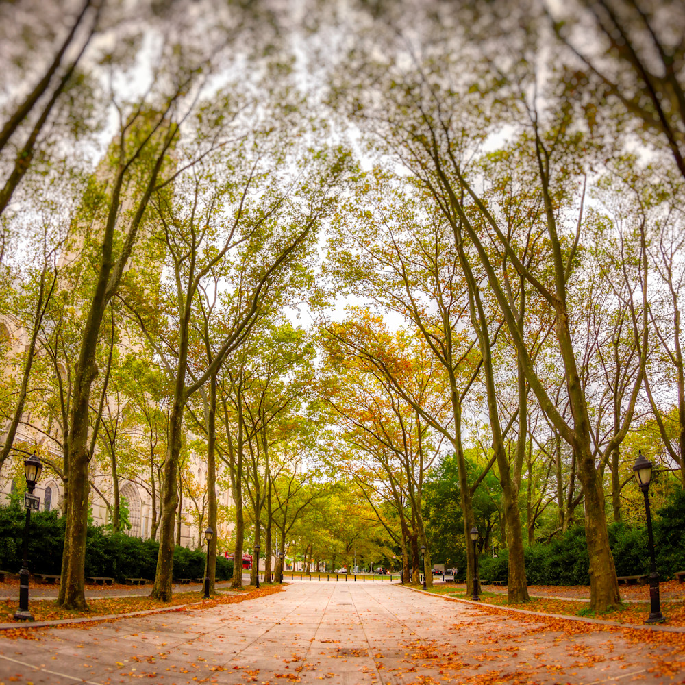 Mg 2254 Edited 1024 Edit 4 12x12 Crop Photography Art | Michael Malandra Fine Art & Photography