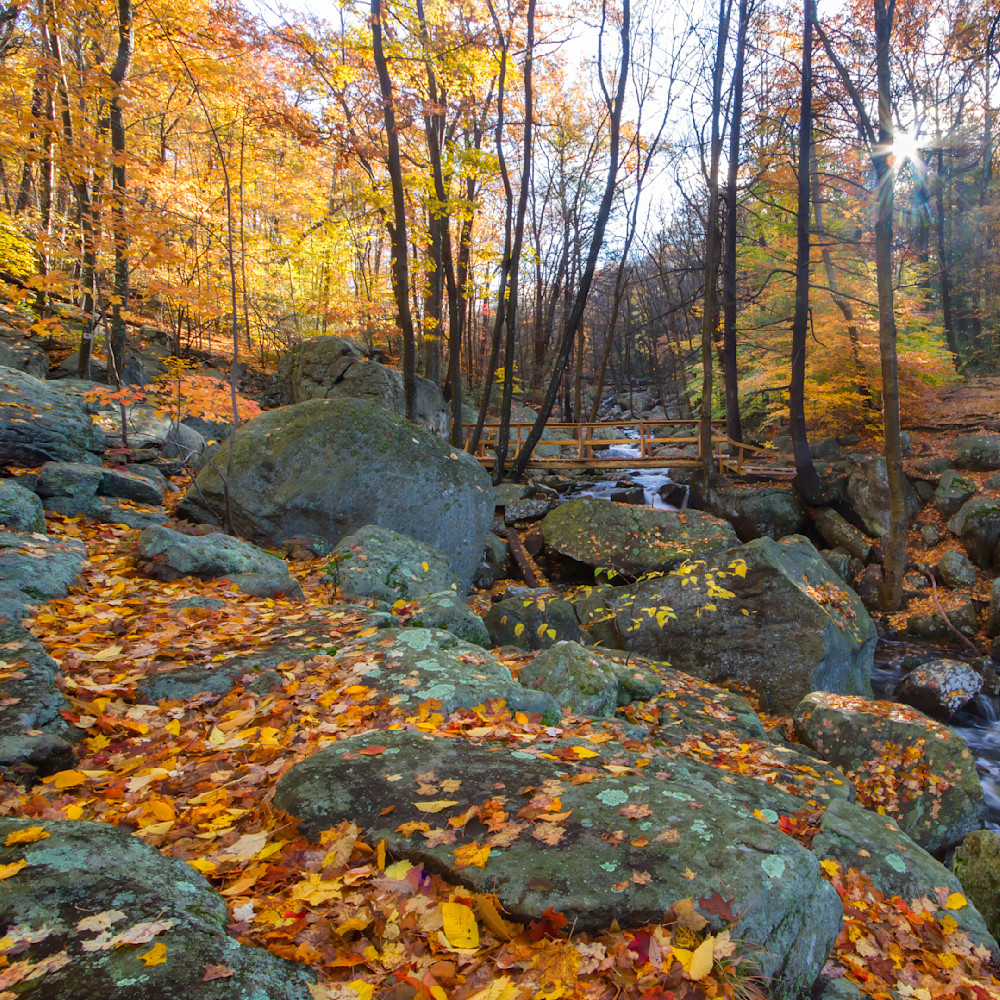 Mg 2401 Edited 1223 12x12 Crop Photography Art | Michael Malandra Fine Art & Photography