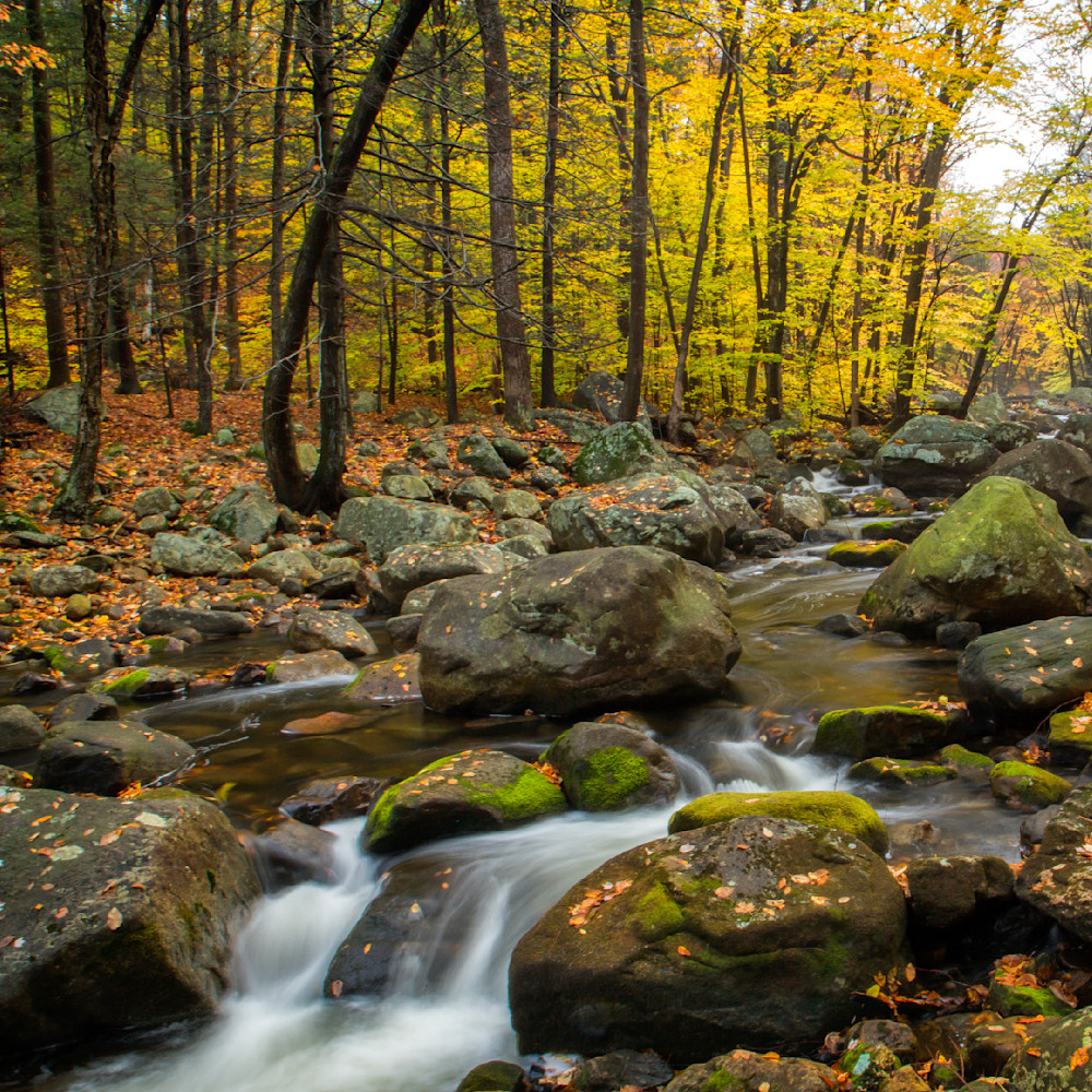 Mg 2366 Edited 1223 12x12 Crop Photography Art | Michael Malandra Fine Art & Photography