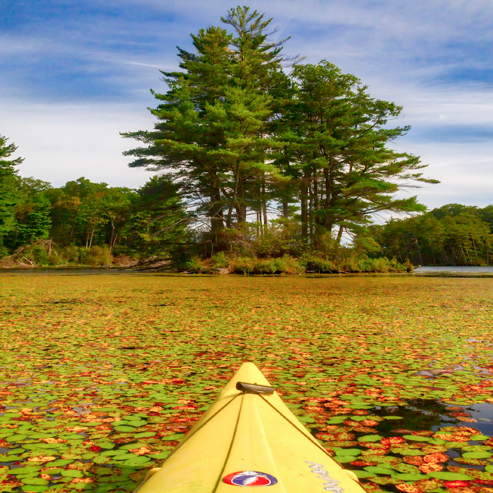 Mg 3383 Edited 1223 12x12 Crop Photography Art | Michael Malandra Fine Art & Photography