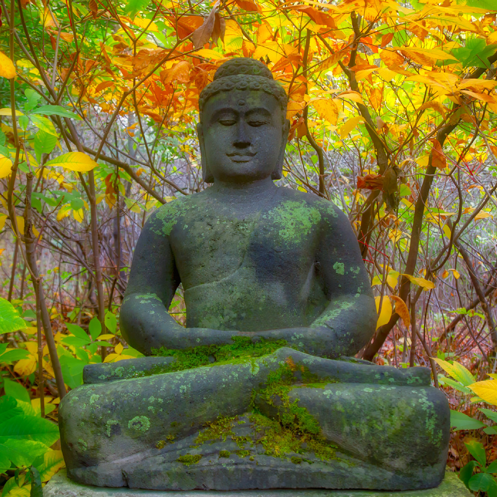 Mg 4898 Edited 1123 12x12 Crop Photography Art | Michael Malandra Fine Art & Photography