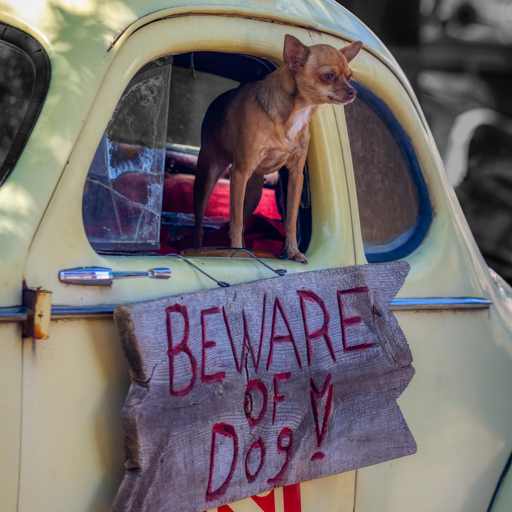 Mg 5385 Edited 0124 12x12 Crop Photography Art | Michael Malandra Fine Art & Photography