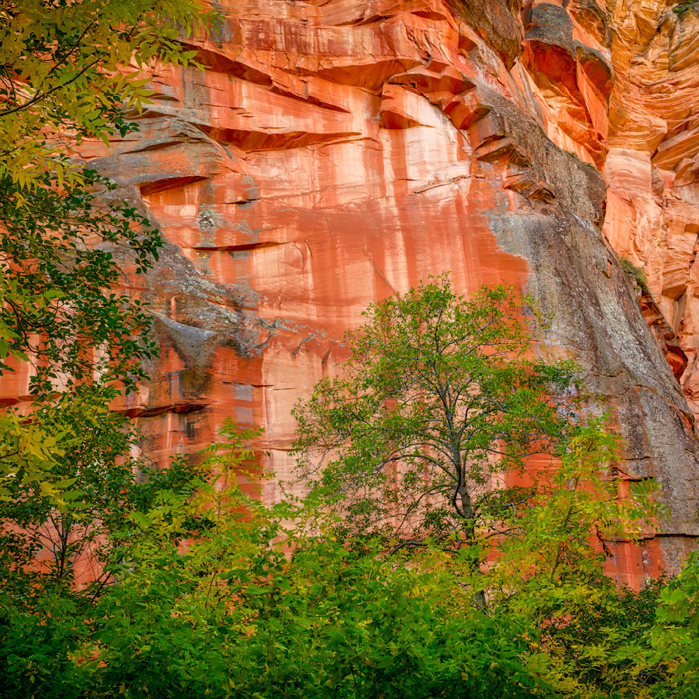 Mg 5359 Edited 1123 12x12 Crop Photography Art | Michael Malandra Fine Art & Photography