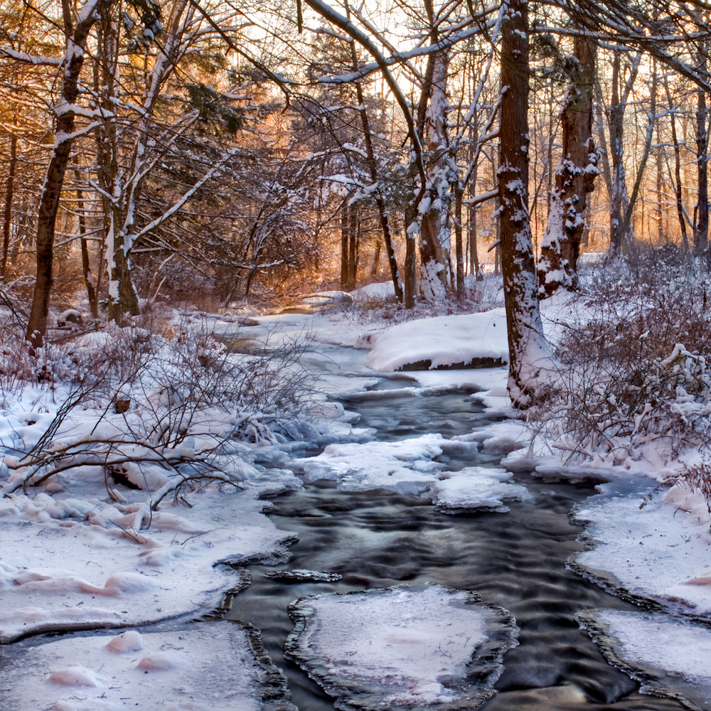 Mg 5024 Edited 1223 12x12 Crop Photography Art | Michael Malandra Fine Art & Photography