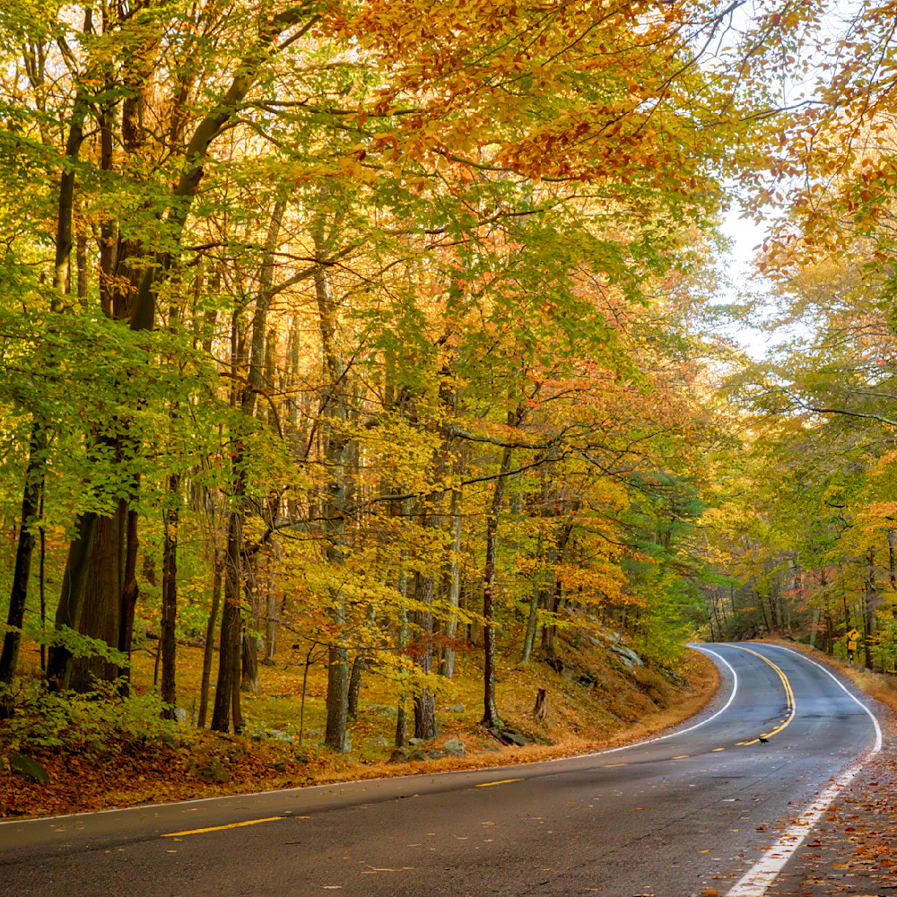 Mg 5596 Edited 1223 12x12 Crop Photography Art | Michael Malandra Fine Art & Photography