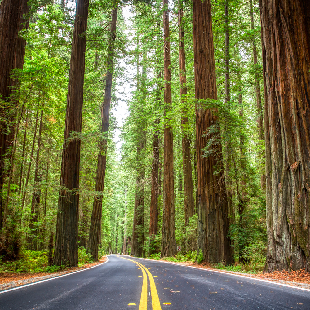 Mg 6187 Edited 1024 12x12 Crop Photography Art | Michael Malandra Fine Art & Photography