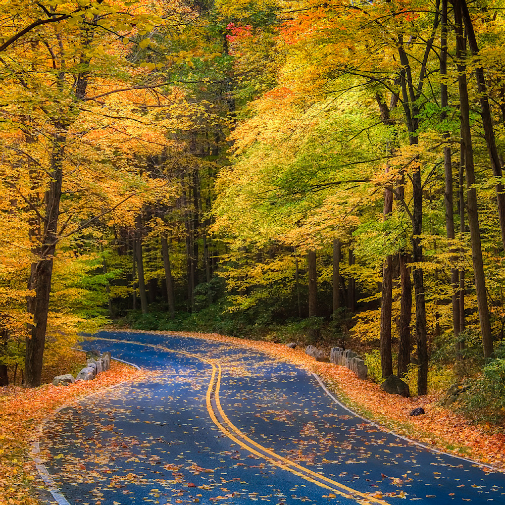 Mg 7332 Edited 1224 12x12 Crop Photography Art | Michael Malandra Fine Art & Photography