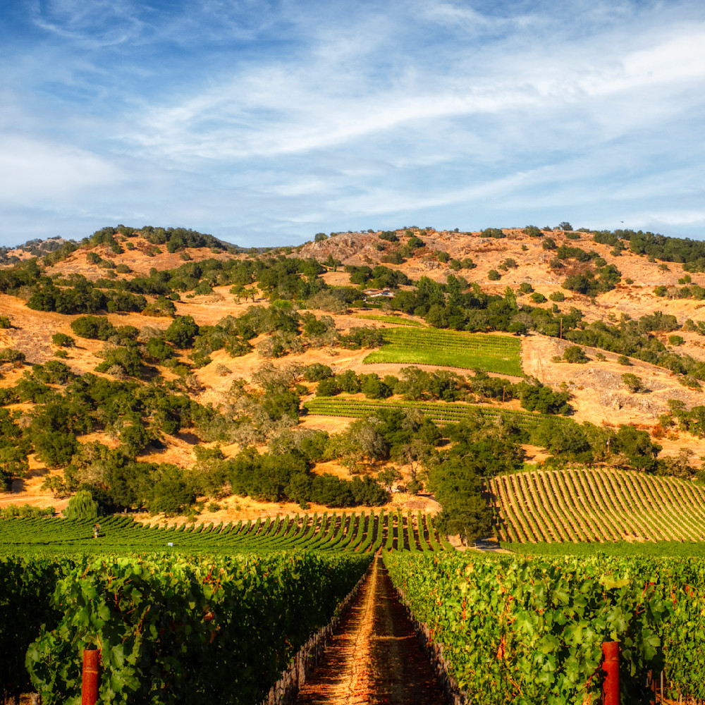 Mg 7678 Edited 1024 12x12 Crop Photography Art | Michael Malandra Fine Art & Photography