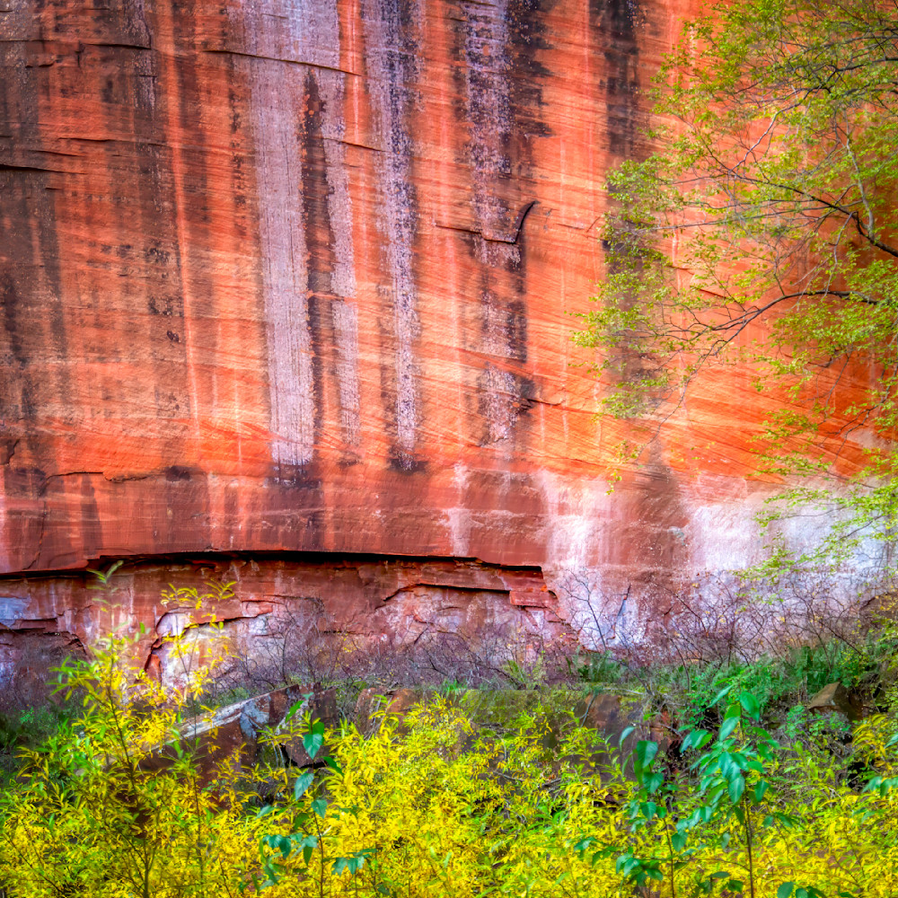 Mg 9002 Edited 1123 12x12 Crop Photography Art | Michael Malandra Fine Art & Photography