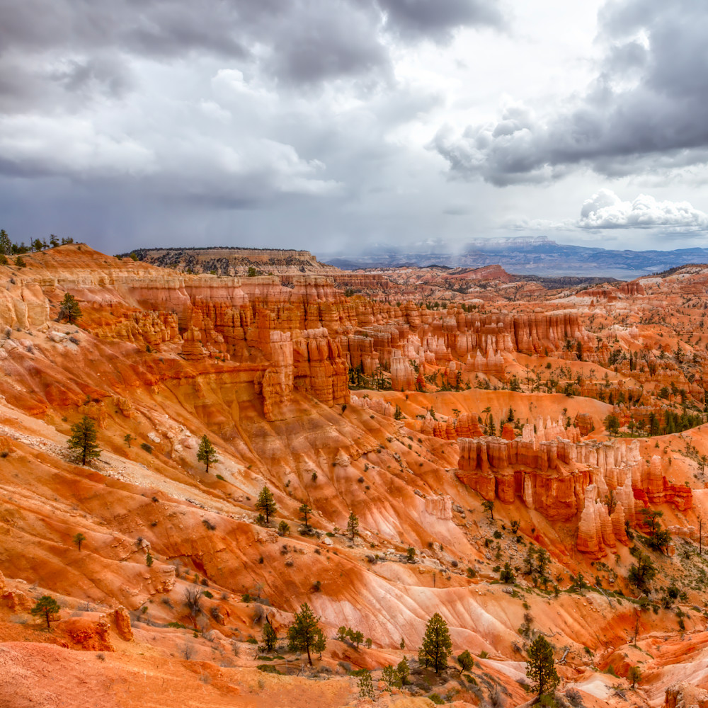 Mg 9153 Edited 1123 12x12 Crop Photography Art | Michael Malandra Fine Art & Photography