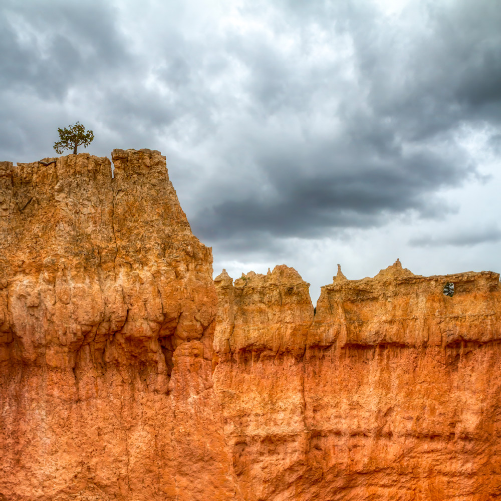 Mg 9221 Edited 1123 12x12 Crop Photography Art | Michael Malandra Fine Art & Photography