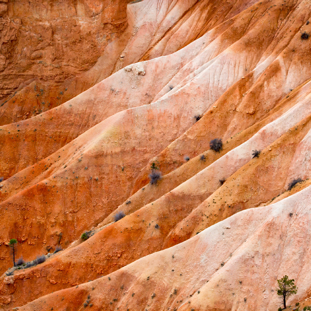 Mg 9179 Edited 1123 12x12 Crop Photography Art | Michael Malandra Fine Art & Photography