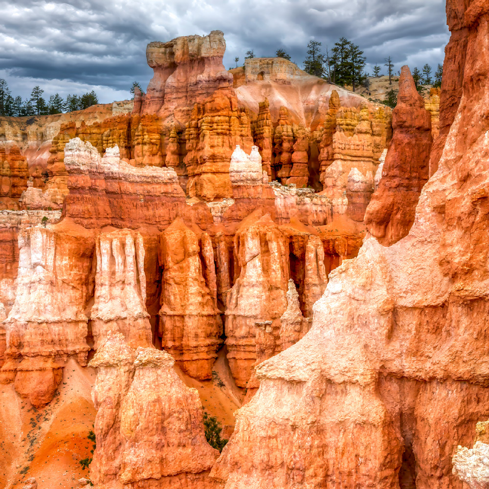 Mg 9317 Edited 1123 12x12 Crop Photography Art | Michael Malandra Fine Art & Photography