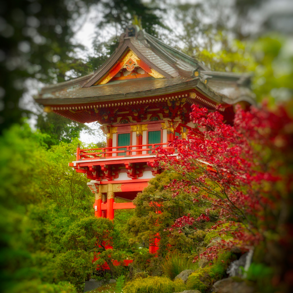 Mg 9668 Edited 12x12 Crop Photography Art | Michael Malandra Fine Art & Photography