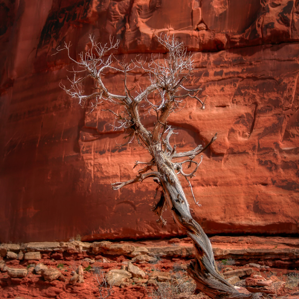 Img 1820 Edited 1123 12x12 Crop Photography Art | Michael Malandra Fine Art & Photography