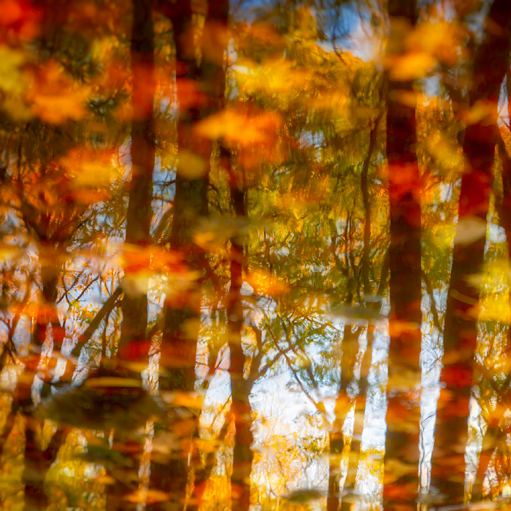 Watercolors 12x12 Crop 1223 Photography Art | Michael Malandra Fine Art & Photography