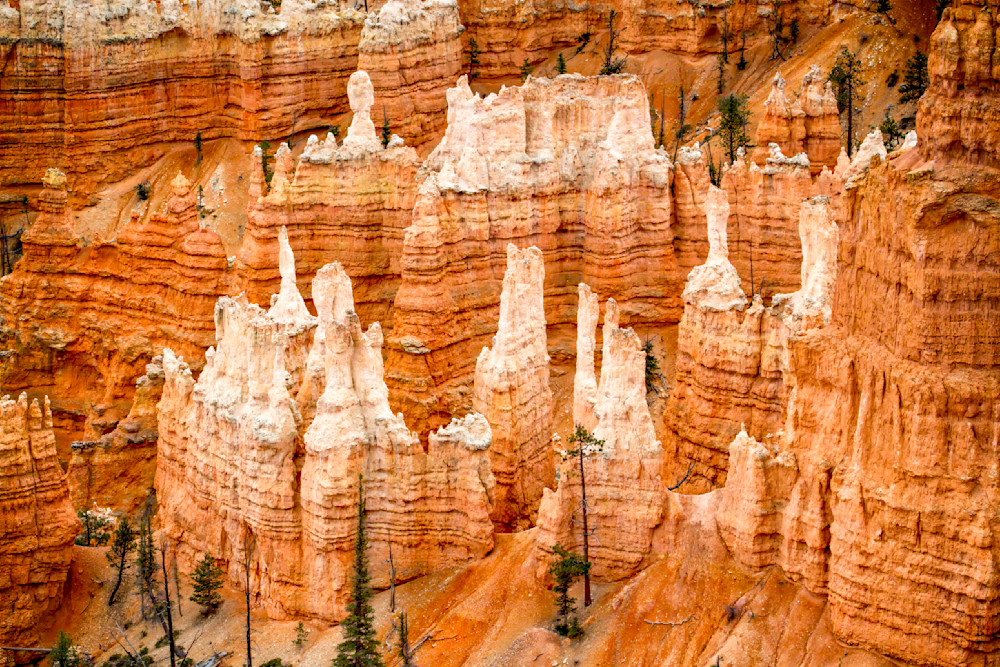 Mg 9171 Edited 1123 20x30 Crop Photography Art | Michael Malandra Fine Art & Photography