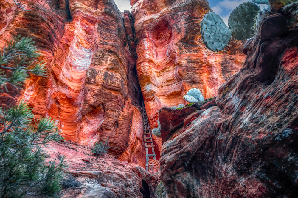 E8 A3815 Edited 1123 20x30 Crop Photography Art | Michael Malandra Fine Art & Photography