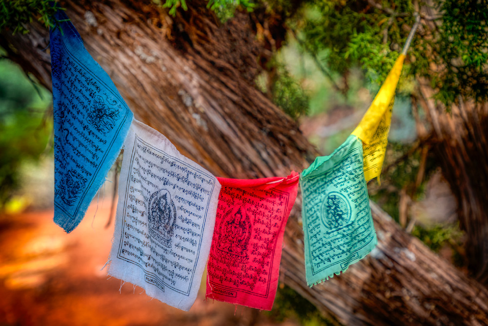 E8 A5475 Edited 1123 20x30 Crop Photography Art | Michael Malandra Fine Art & Photography