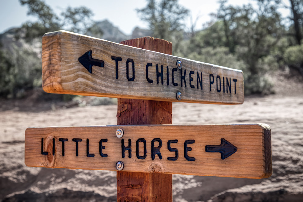 E8 A7548 Edited 0224 20x30 Crop Photography Art | Michael Malandra Fine Art & Photography