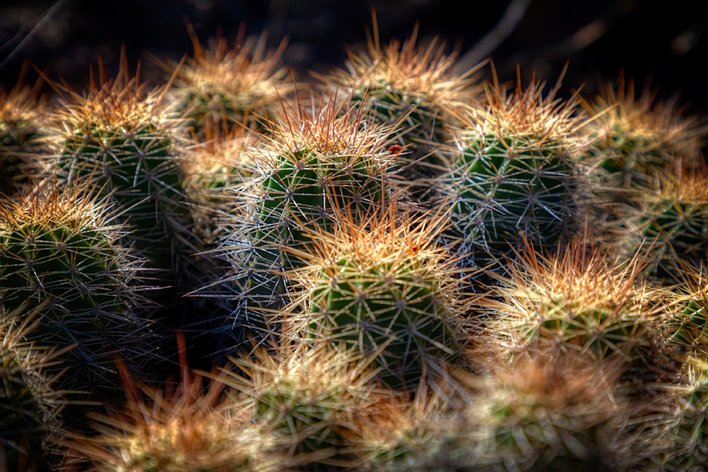 E8 A7570 Edited 0124 20x30 Crop Photography Art | Michael Malandra Fine Art & Photography