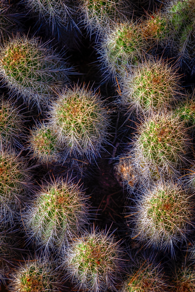 E8 A7574 Edited 1123 20x30 Crop Photography Art | Michael Malandra Fine Art & Photography