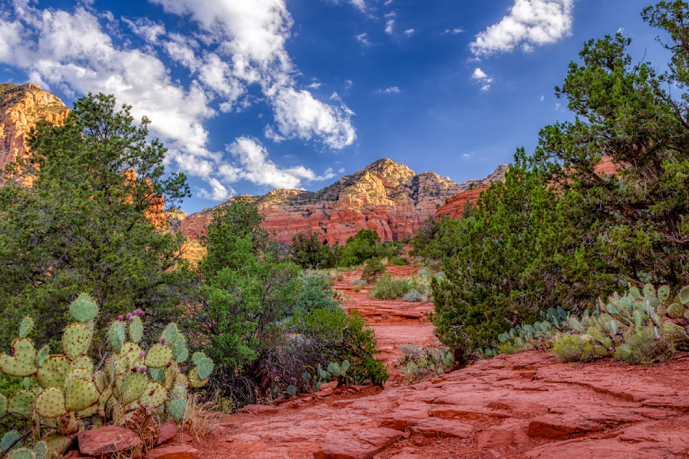 E8 A7785 Edited 1123 20x30 Crop Photography Art | Michael Malandra Fine Art & Photography