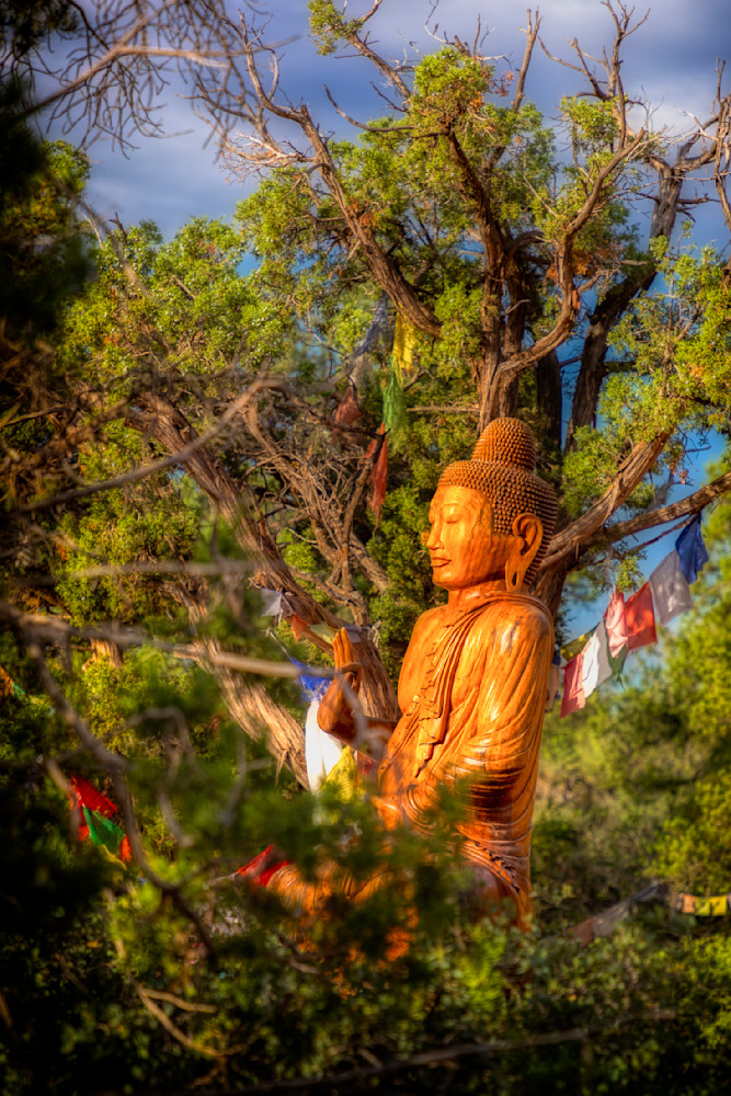 E8 A9756 Edited 20x30 Crop Photography Art | Michael Malandra Fine Art & Photography