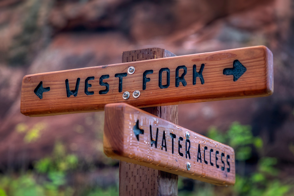 E8 A9823 Edited 20x30 Crop Photography Art | Michael Malandra Fine Art & Photography