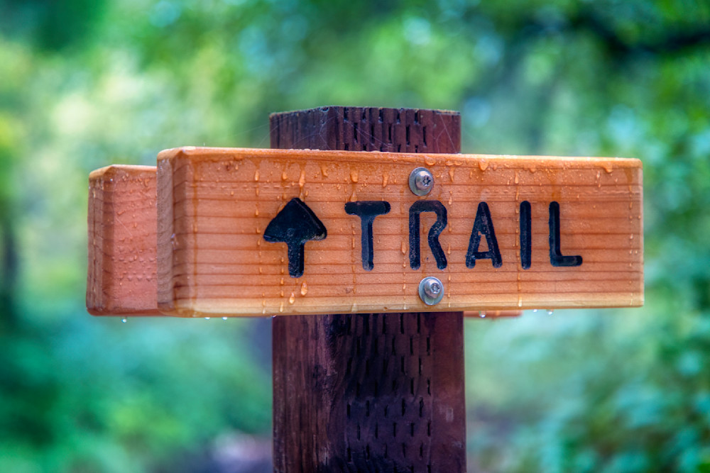 E8 A9852 Edited 20x30 Crop Photography Art | Michael Malandra Fine Art & Photography