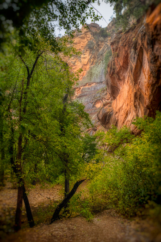 E8 A9915 Edited 20x30 Crop Photography Art | Michael Malandra Fine Art & Photography