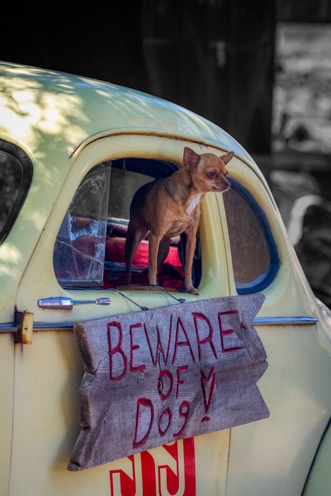 Mg 5385 Edited 0124 20x30 Crop Photography Art | Michael Malandra Fine Art & Photography