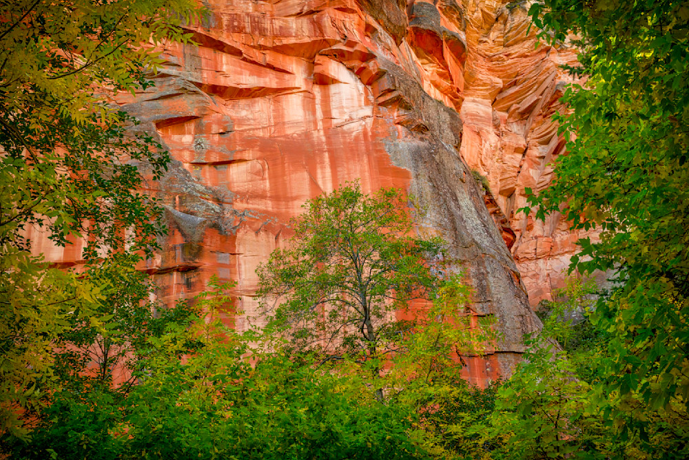 Mg 5359 Edited 1123 20x30 Crop Photography Art | Michael Malandra Fine Art & Photography