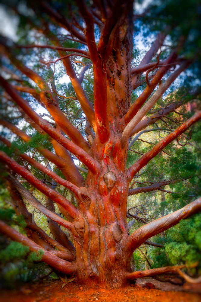 Mg 6167 Edited 1223 20x30 Crop Photography Art | Michael Malandra Fine Art & Photography