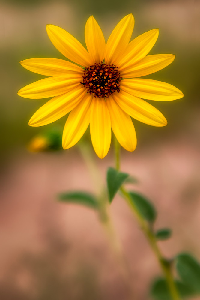 E8 A6681 Edited 1123 20x30 Crop Photography Art | Michael Malandra Fine Art & Photography