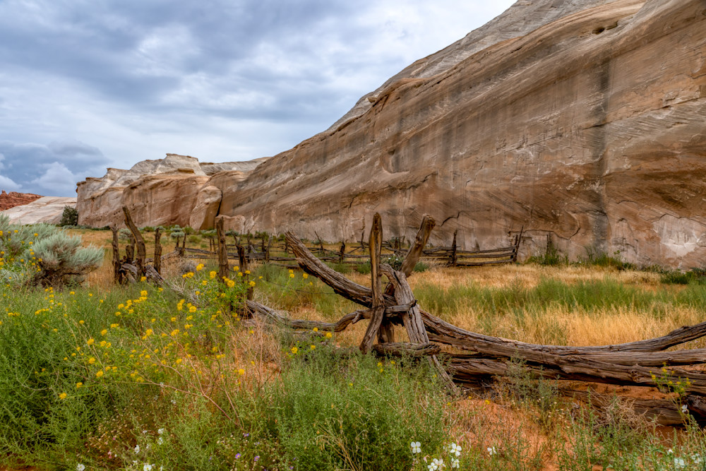 E8 A6436 Edited 2 20x30 Crop Photography Art | Michael Malandra Fine Art & Photography