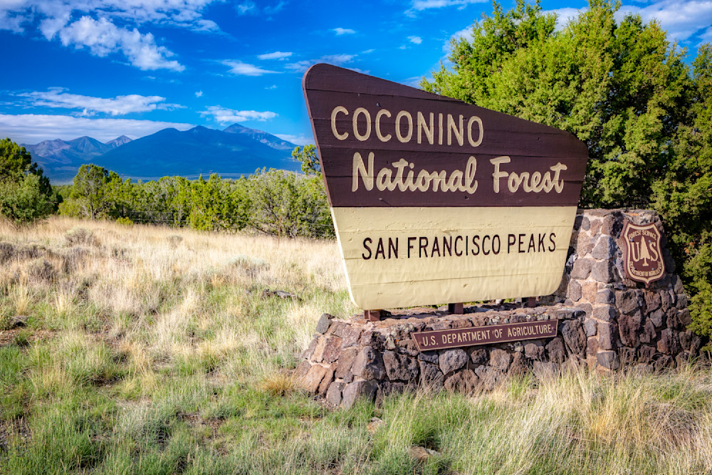 E8 A7027 Edited 1124 20x30 Crop Photography Art | Michael Malandra Fine Art & Photography