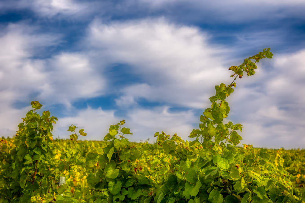 E8 A8634 Edited 20x30 Crop Photography Art | Michael Malandra Fine Art & Photography