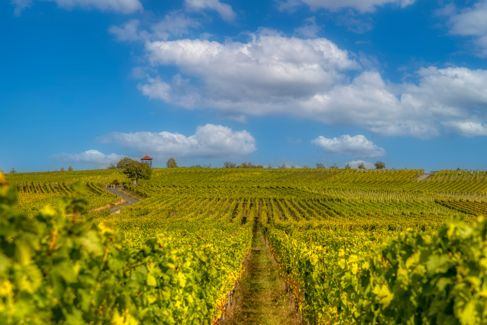 E8 A8611 Edited 20x30 Crop Photography Art | Michael Malandra Fine Art & Photography