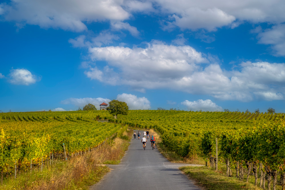 E8 A8625 Edited 20x30 Crop Photography Art | Michael Malandra Fine Art & Photography